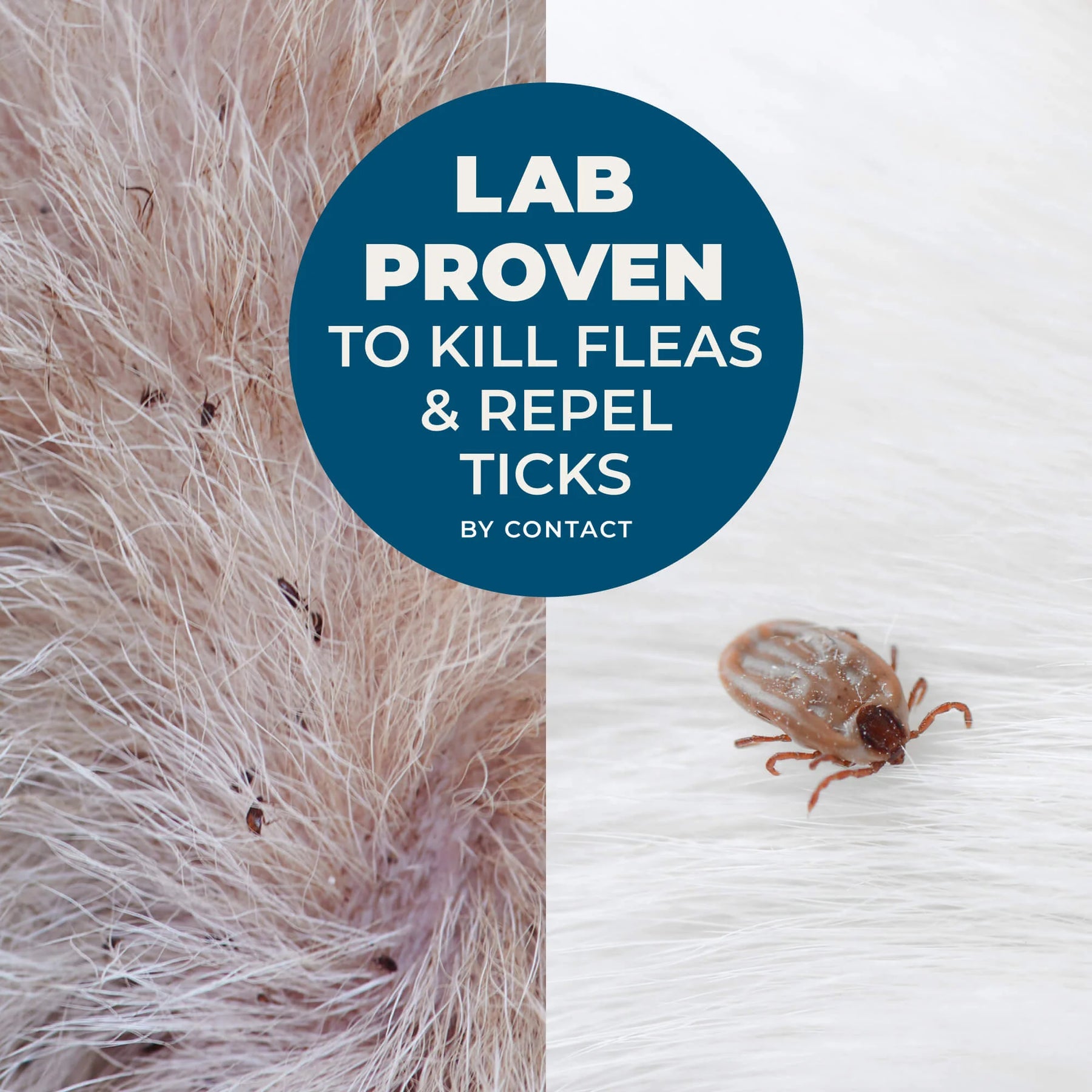 Wondercide - Flea & Tick Shampoo Cedar