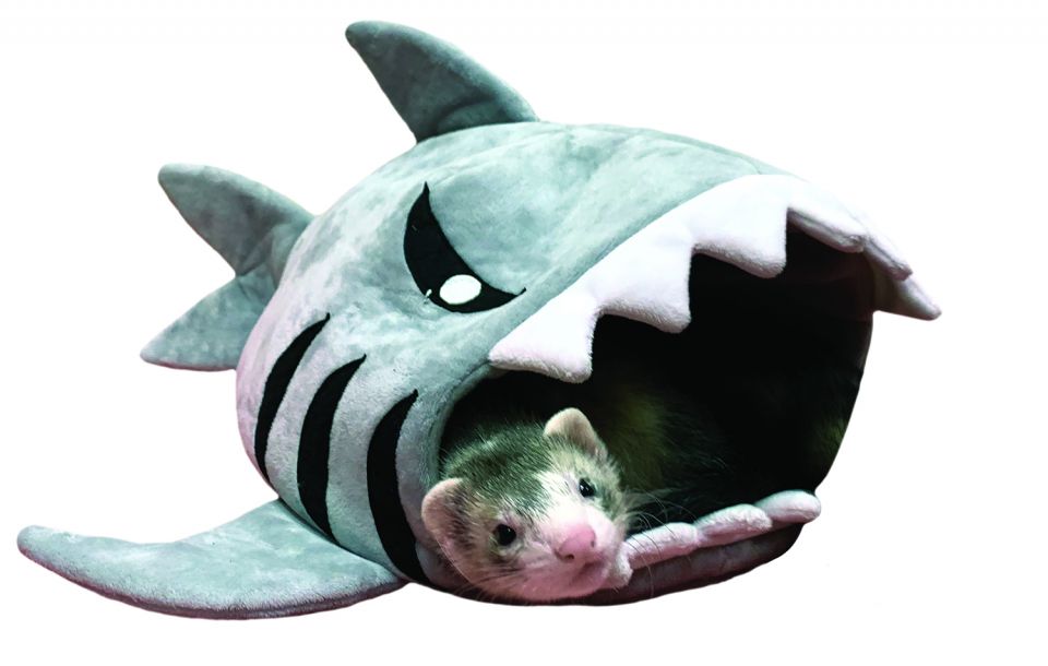 Marshall Pet Products - Shark Hide-N-Play