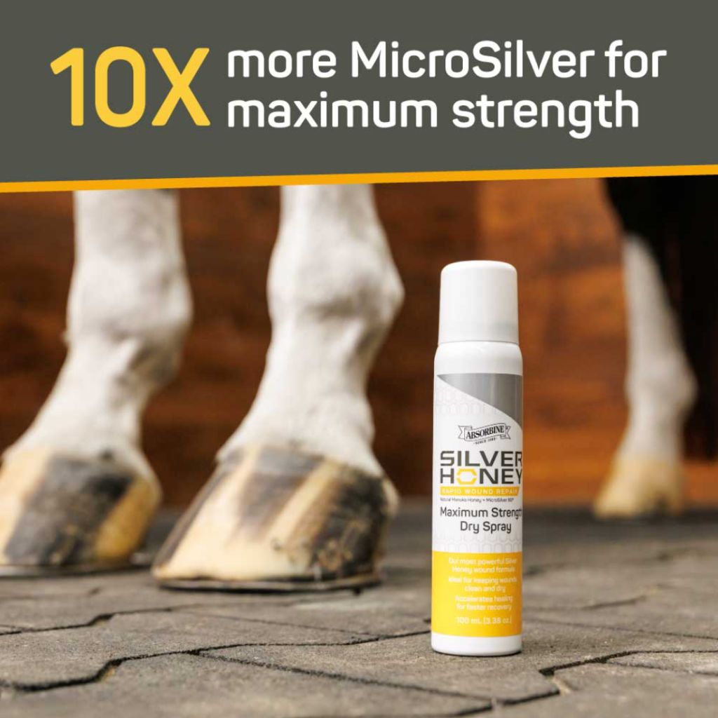 W.F. Young - Silver Honey Max Strength Dry Spray