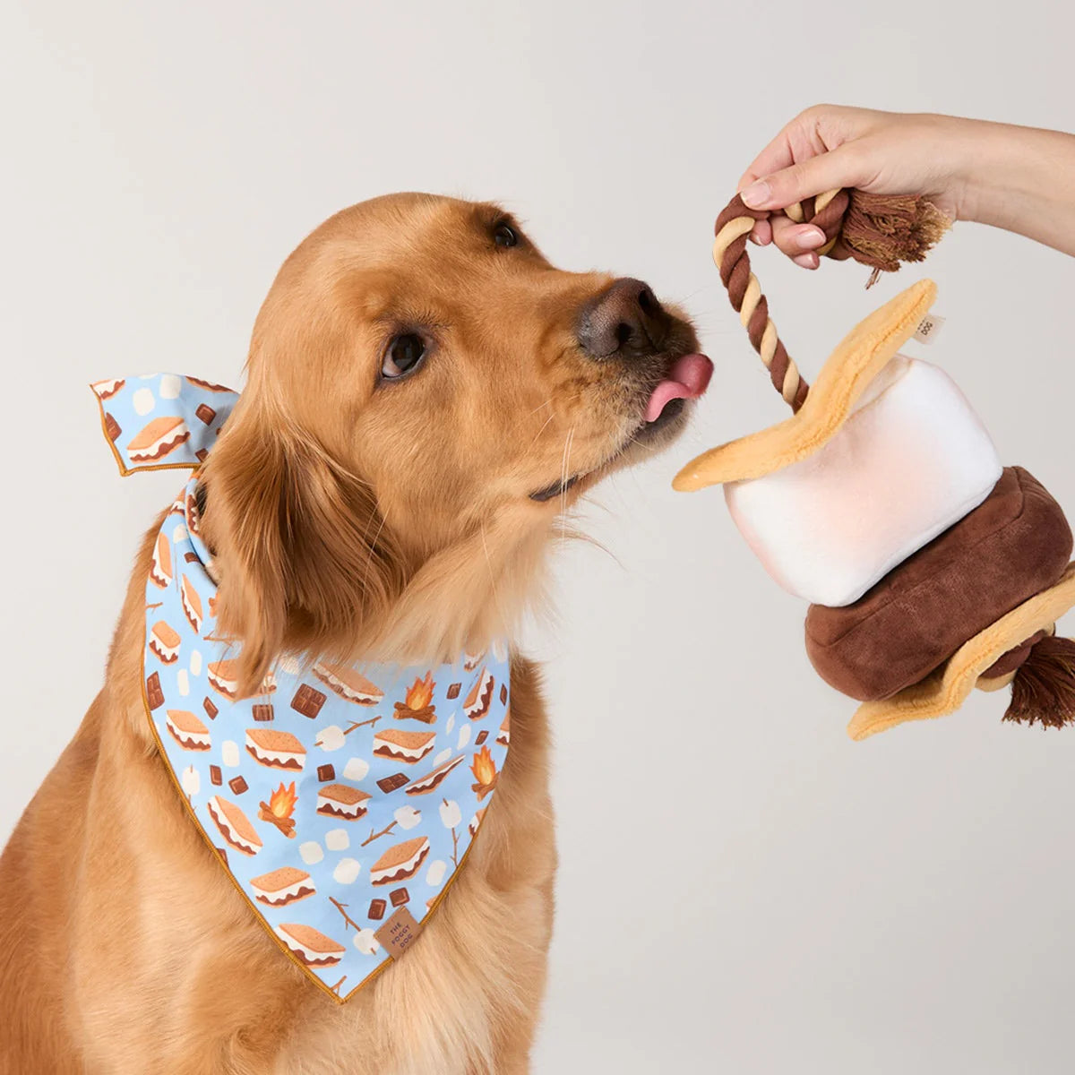 The Foggy Dog - Dog Toy S'more Interactive