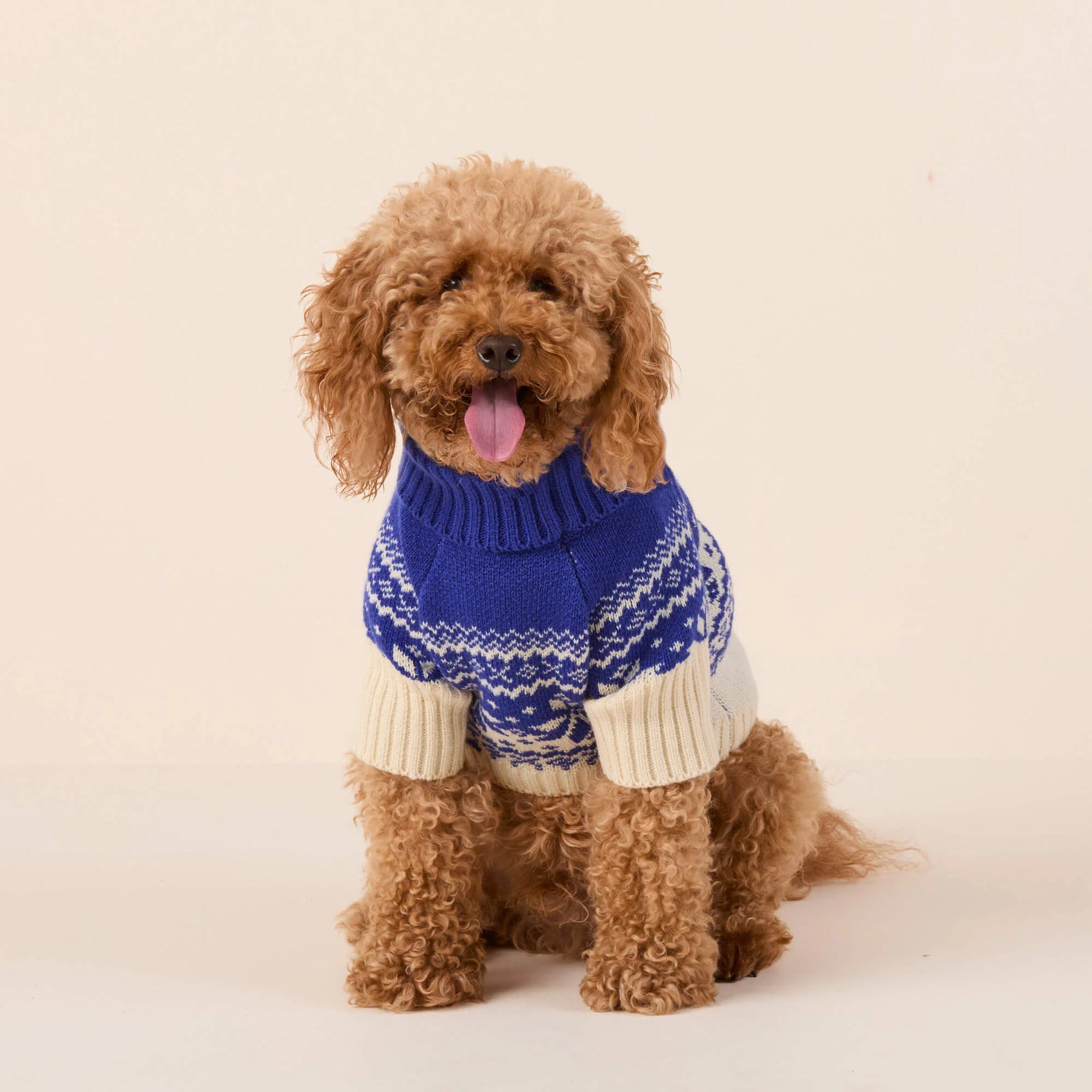 Foggy Dog - Dog Sweater Snow Day