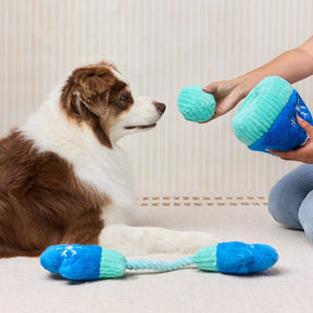 The Foggy Dog - Dog Toy Snow Much Fun Mittens & Hat