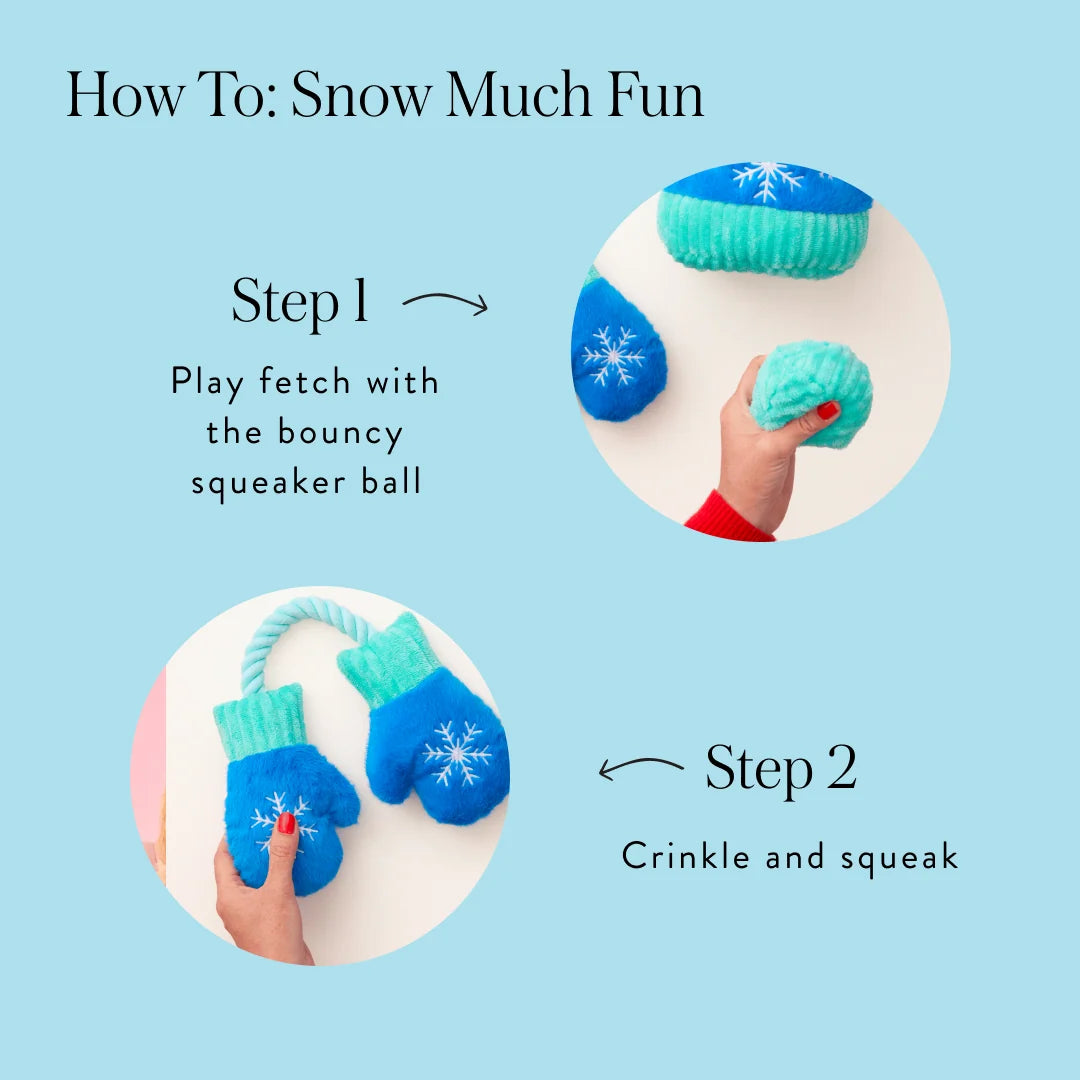 The Foggy Dog - Dog Toy Snow Much Fun Mittens & Hat