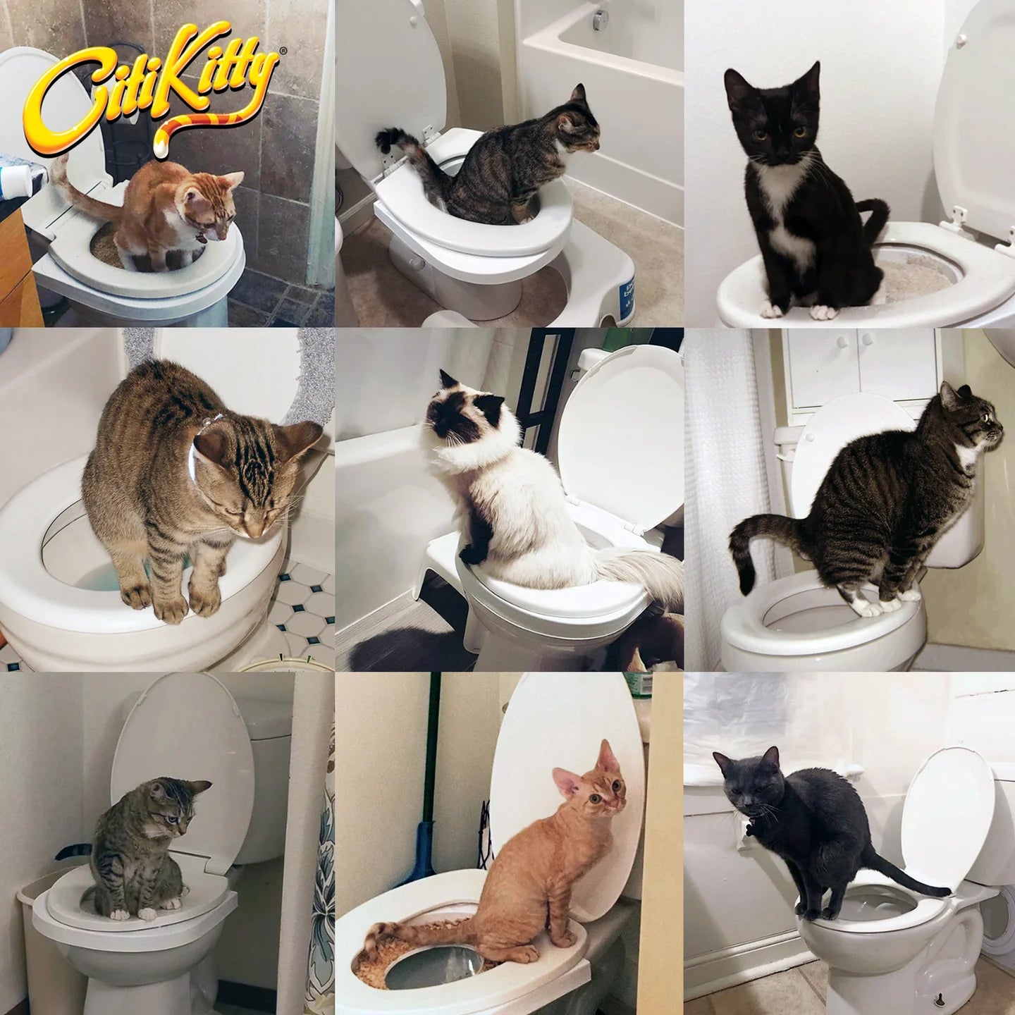CitiKitty Cat Toilet Training Kit - Southern Agriculture 