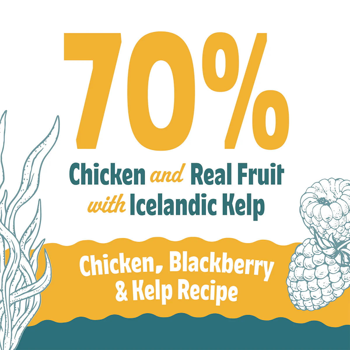 Icelandic+ Soft & Chewy Bites Chicken, Blackberry & Kelp Treats For Cats