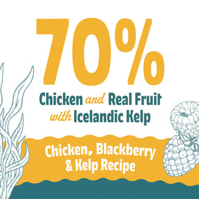 Icelandic+ Soft & Chewy Bites Chicken, Blackberry & Kelp Treats For Cats
