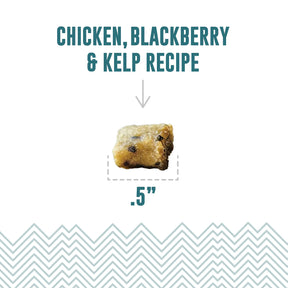 Icelandic+ Soft & Chewy Bites Chicken, Blackberry & Kelp Treats For Cats