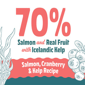Icelandic+ Soft & Chewy Bites Salmon, Cranberry & Kelp Treats For Cats