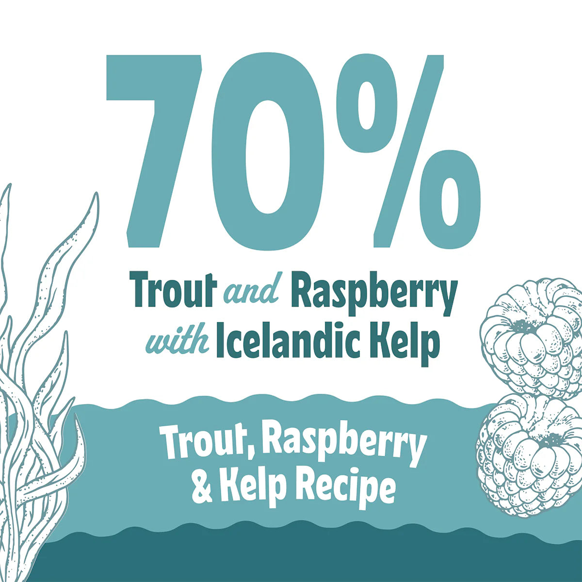 Icelandic+ Soft & Chewy Bites Trout, Raspberry & Kelp Treats For Cats