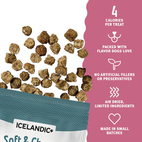 Icelandic+ Soft & Chewy Bites Beef, Plum & Kelp Recipe Treats For Dogs