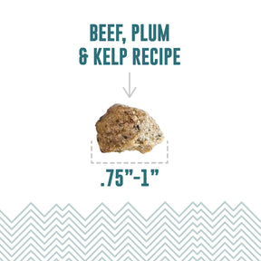 Icelandic+ Soft & Chewy Bites Beef, Plum & Kelp Recipe Treats For Dogs