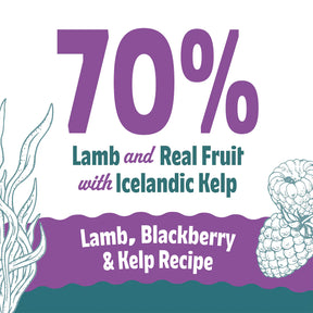 Icelandic+ Soft & Chewy Bites Lamb, Blackberry & Kelp Treats For Dogs