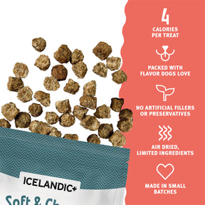 Icelandic+ Soft & Chewy Bites Salmon, Cranberry & Kelp Treats For Dogs