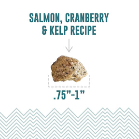 Icelandic+ Soft & Chewy Bites Salmon, Cranberry & Kelp Treats For Dogs