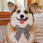 The Foggy Dog - Dog Bow SOHO black Lady	Heather Home xTFD
