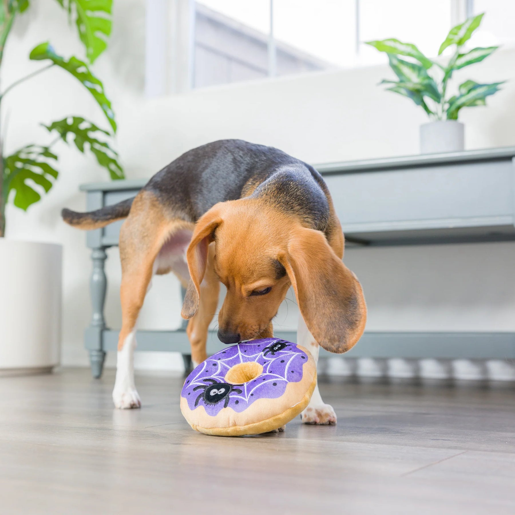 Huxley & Kent - Spiderweb Donut for Dogs