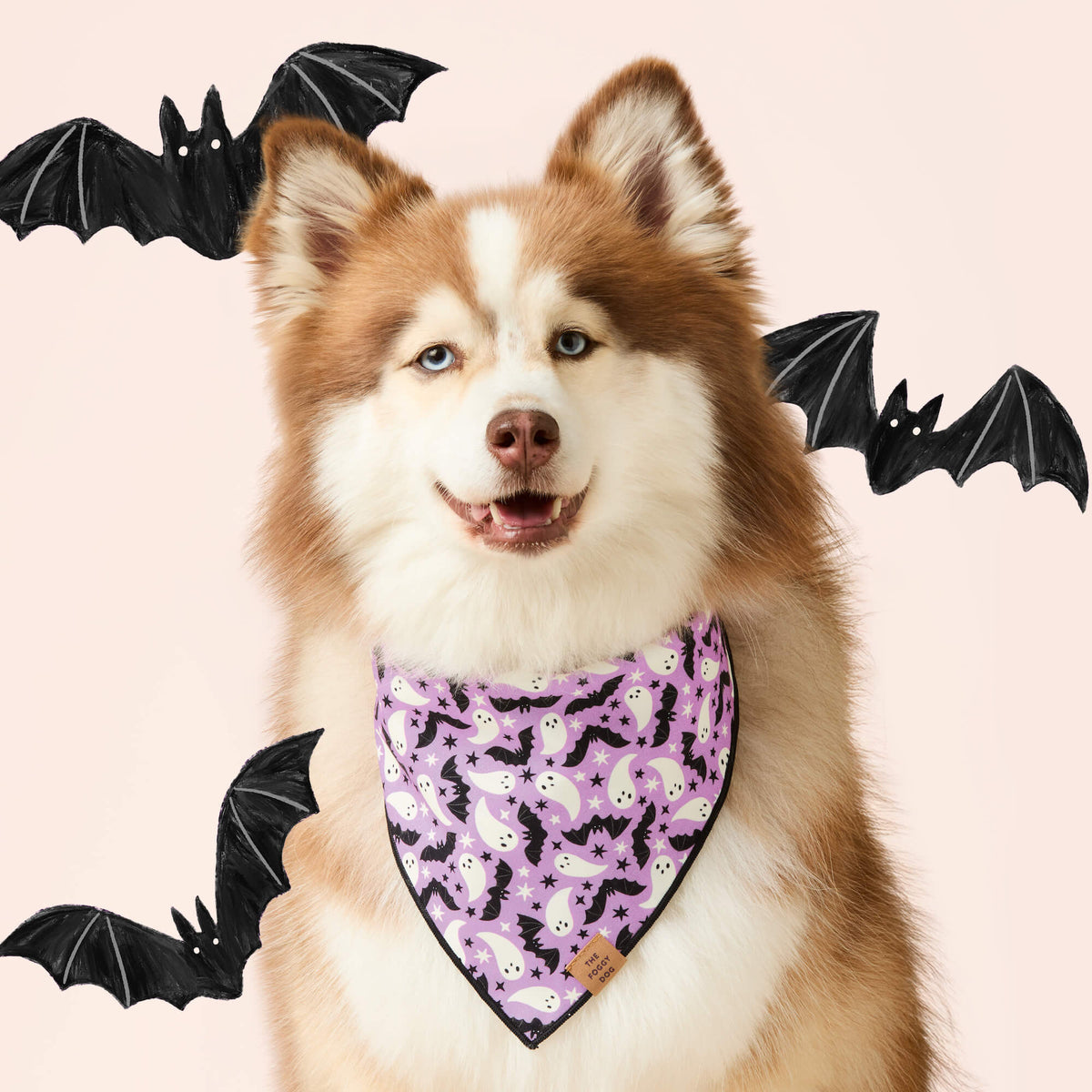 The Foggy Dog - Bandana Spooky Season