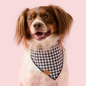 The Foggy Dog - Bandana Spooky Season