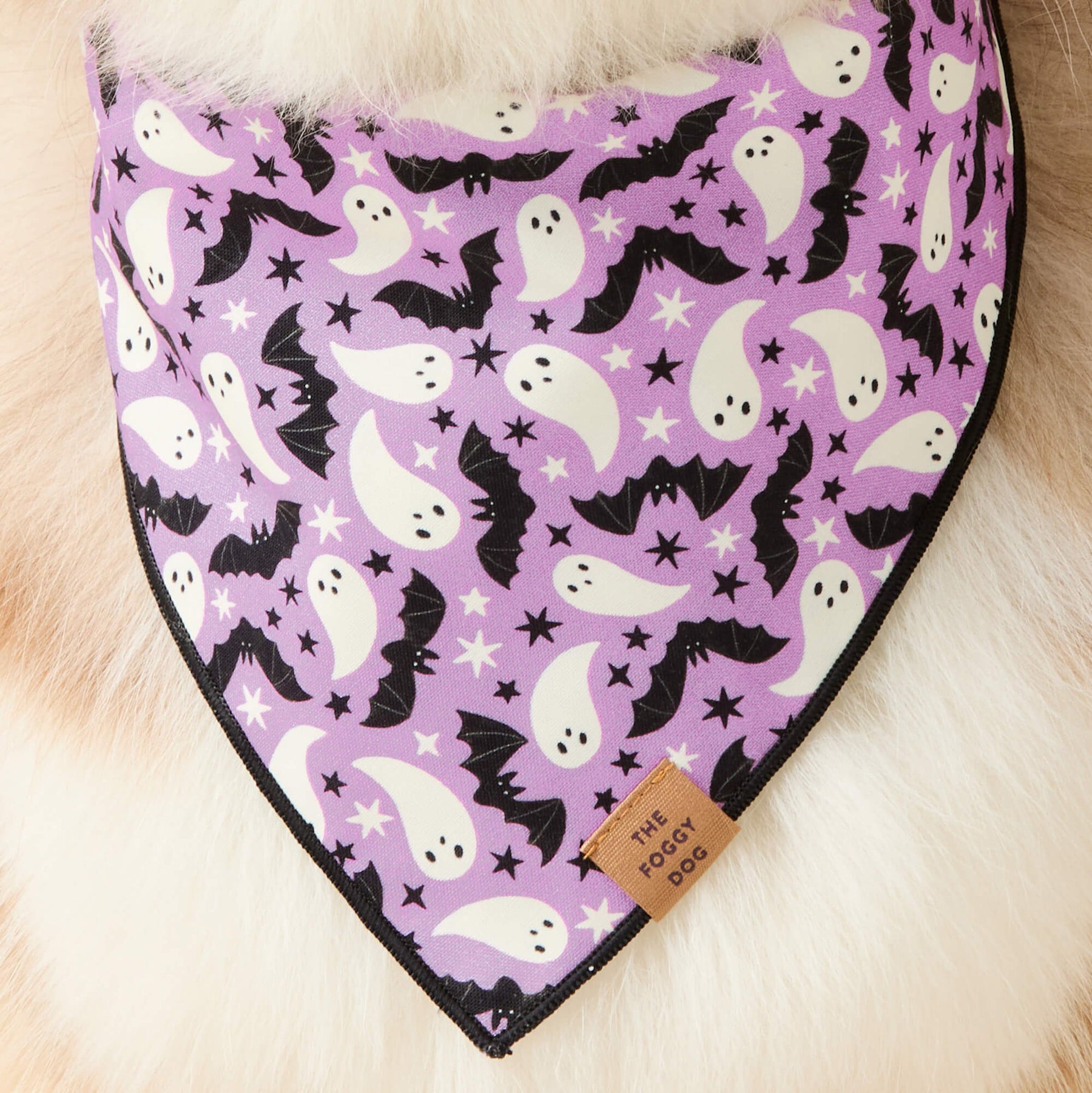 The Foggy Dog - Bandana Spooky Season
