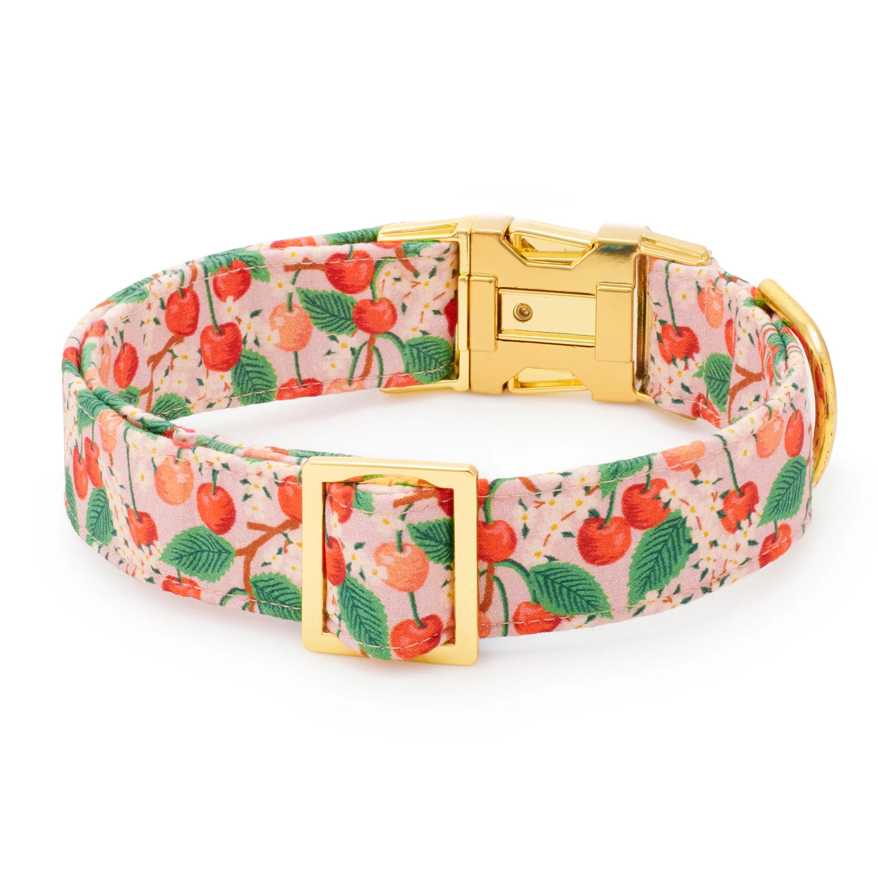 The Foggy Dog - Dog Collar Rifle Paper Co. X TFD Cherry Blossom