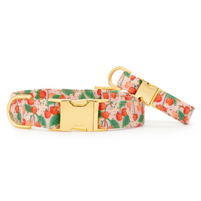 The Foggy Dog - Dog Collar Rifle Paper Co. X TFD Cherry Blossom