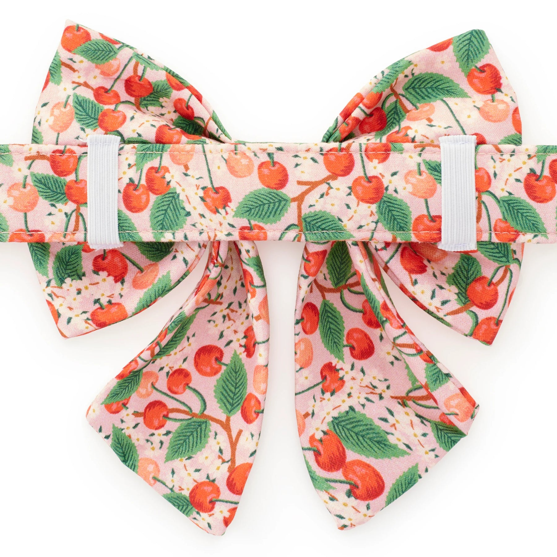 The Foggy Dog - Lady Dog Bow Rifle Paper Co. X TFD Cherry Blossom