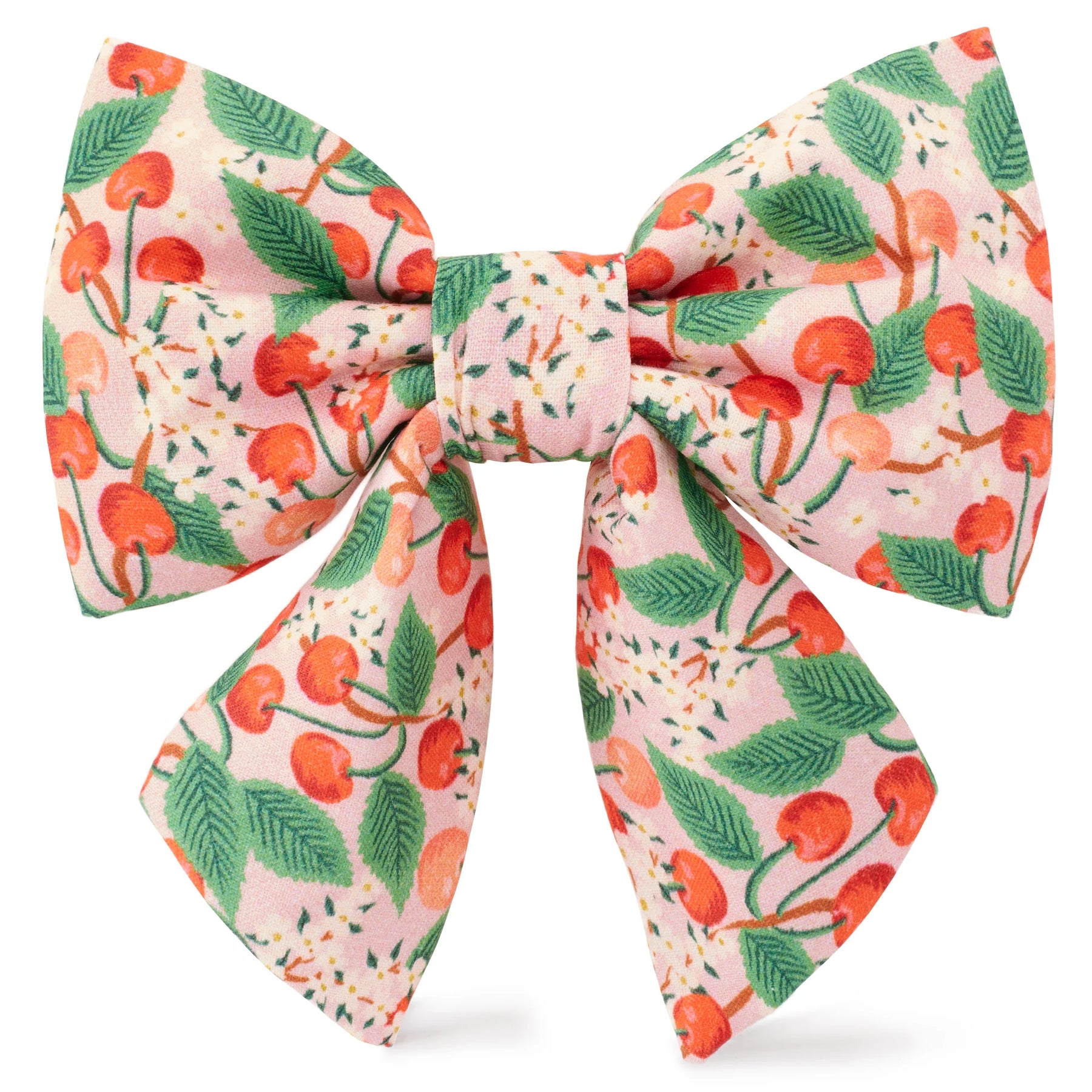 The Foggy Dog - Lady Dog Bow Rifle Paper Co. X TFD Cherry Blossom
