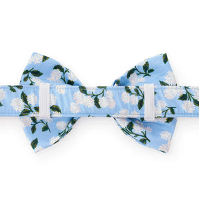 The Foggy Dog - Dog Bow Tie Rifle Paper Co. X TFD Hydrangea