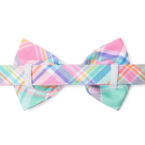 The Foggy Dog - Dog Bow Tie Blooming Plaid