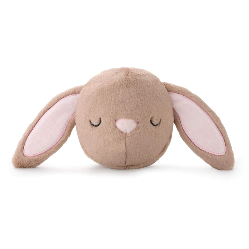 Foggy Dog - Dog Toy Bounce Bunny 2-In-1