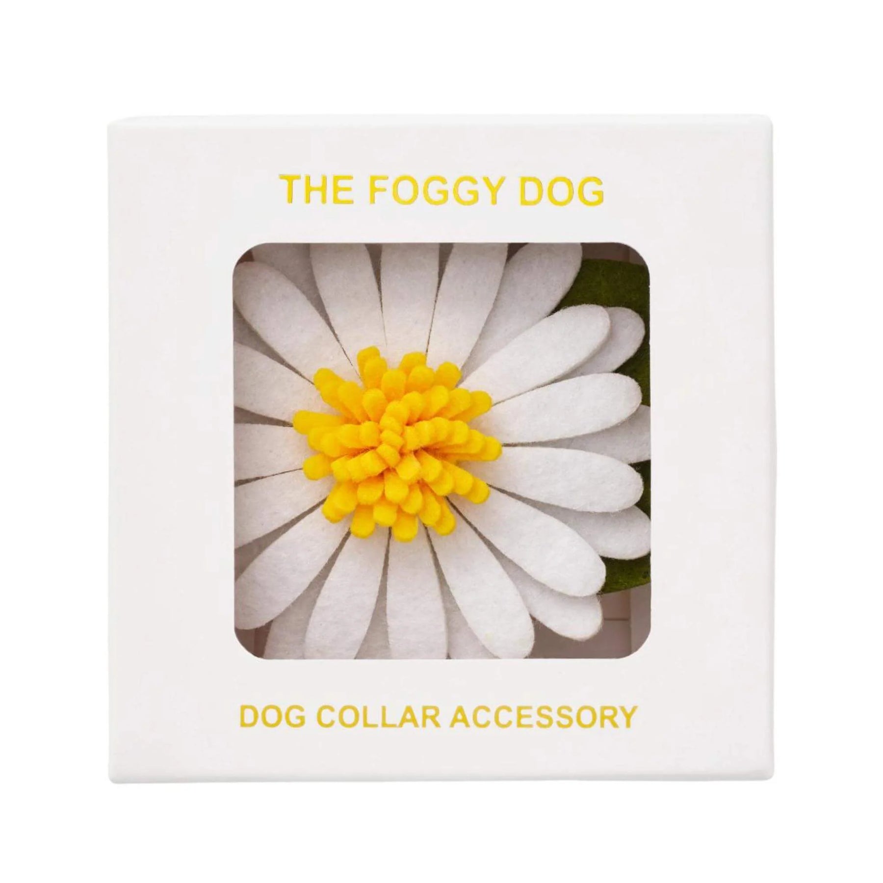 Foggy Dog - Dog Collar Flower Daisy