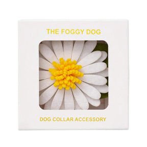 Foggy Dog - Dog Collar Flower Daisy