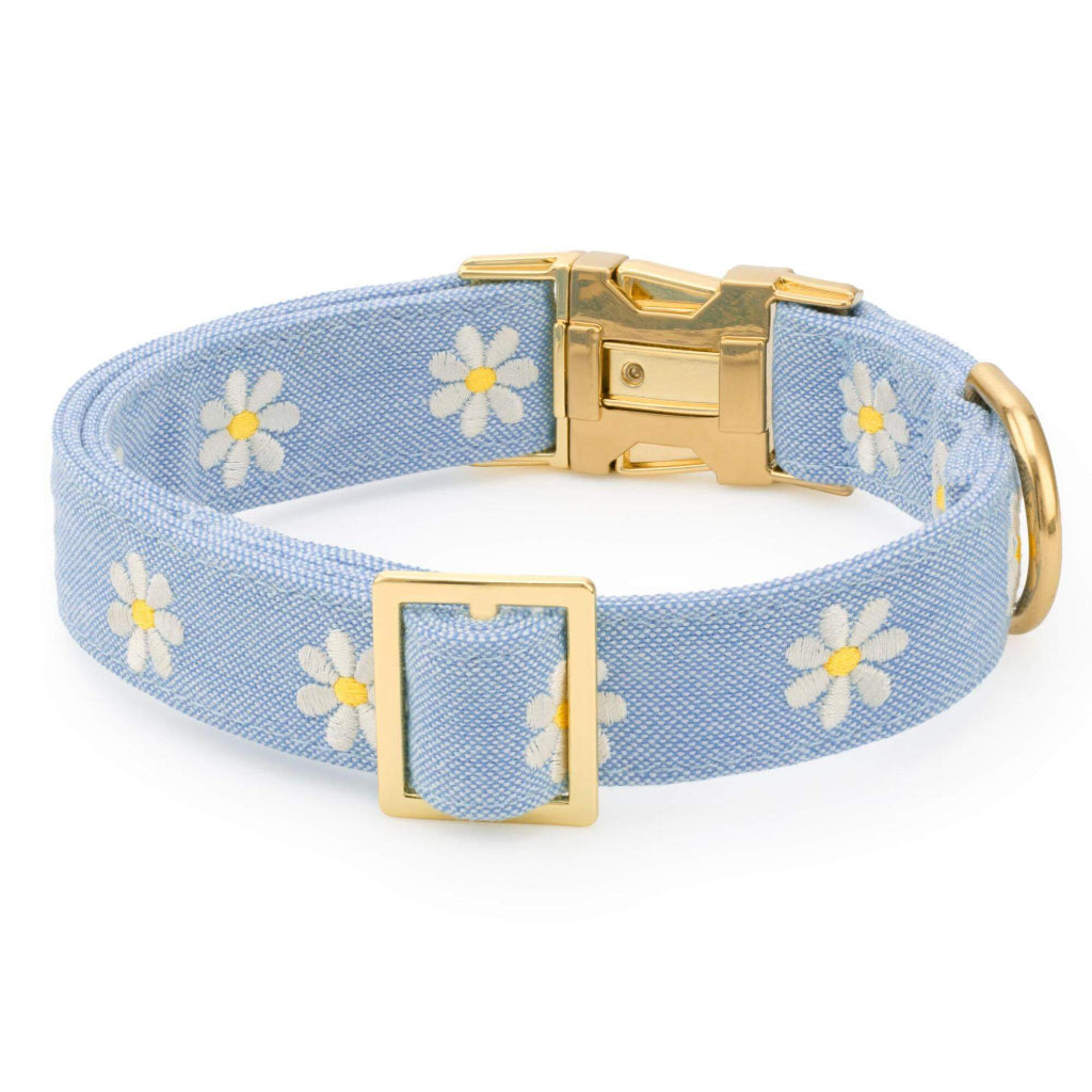 Foggy Dog - Dog Collar Daisy Embroidered