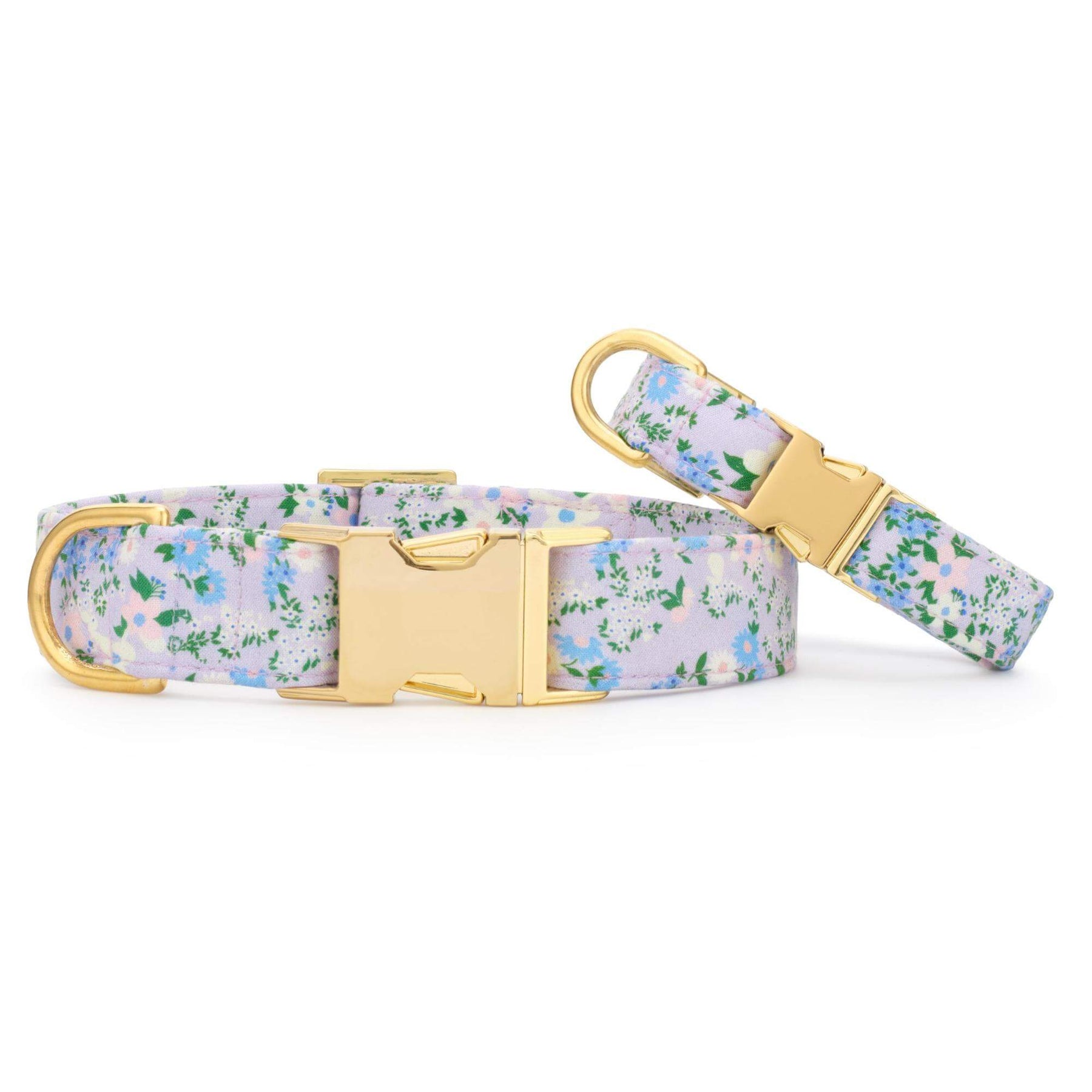 The Foggy Dog - Dog Collar Flora