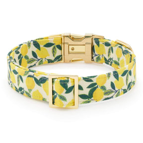 Foggy Dog - Dog Collar Lemon Zest