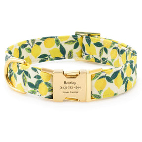Foggy Dog - Dog Collar Lemon Zest