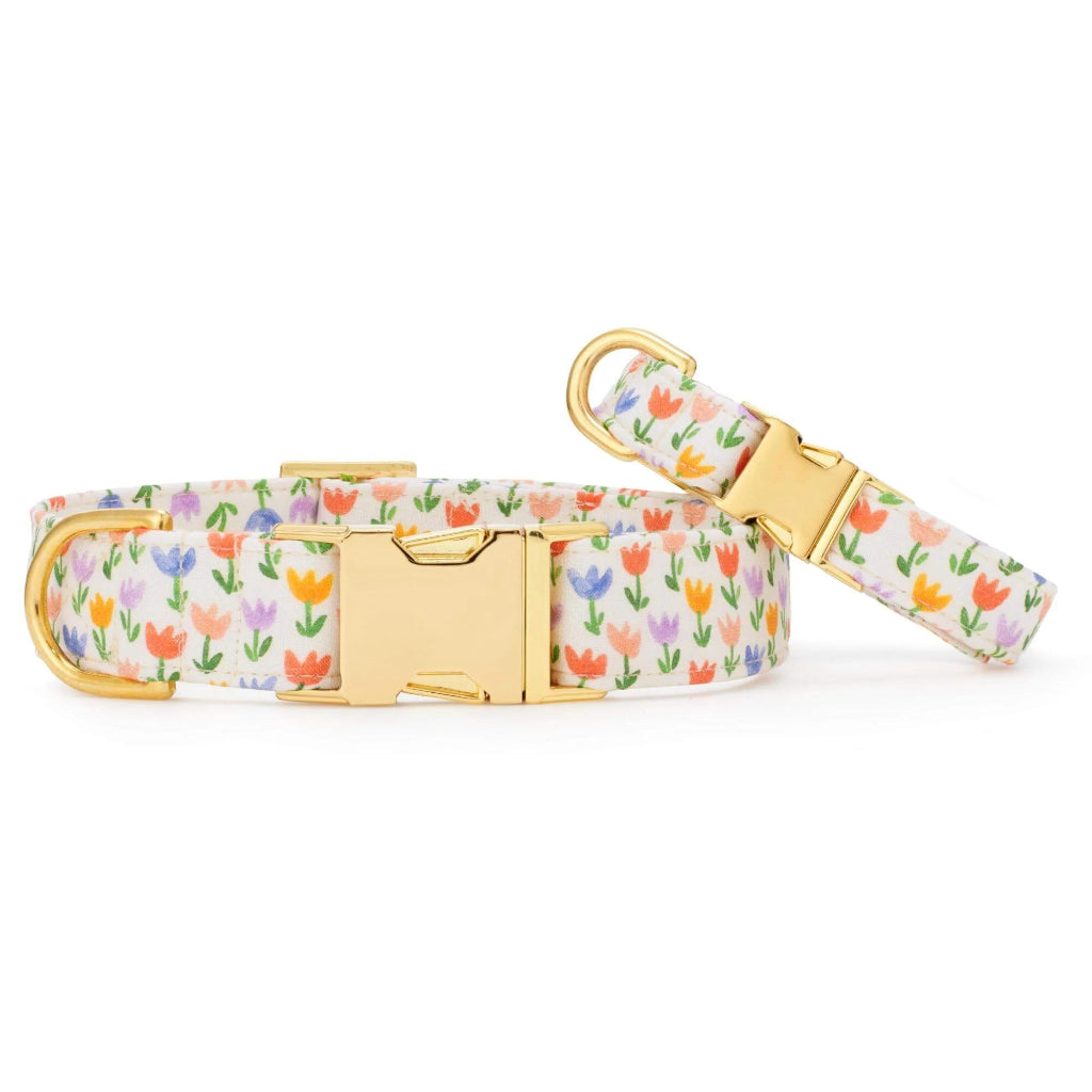 Foggy Dog - Dog Collar Tulip Garden