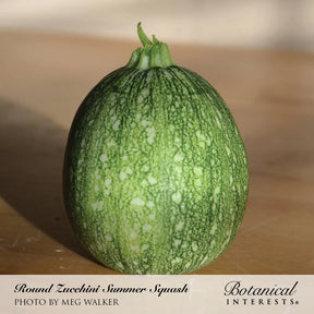 Botanical Interests, Inc. - Squash Summer Round Zucchini Seeds