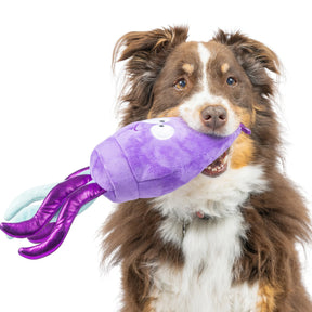 Huxley & Kent - Squiggly Squid for Dogs
