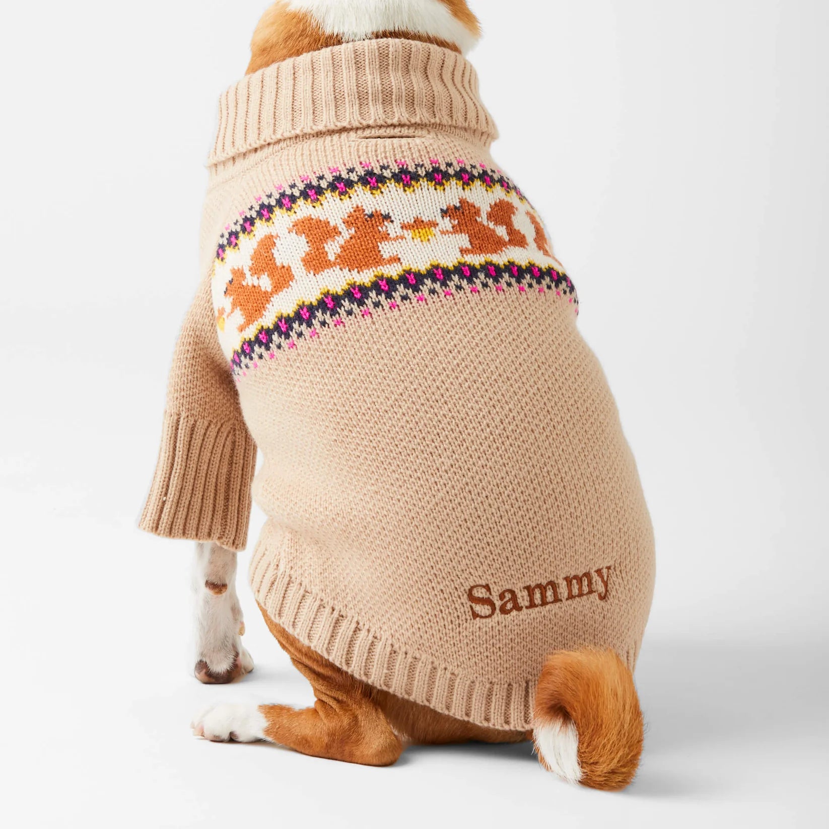The Foggy Dog - Dog Sweater Squirrel Cable Knit