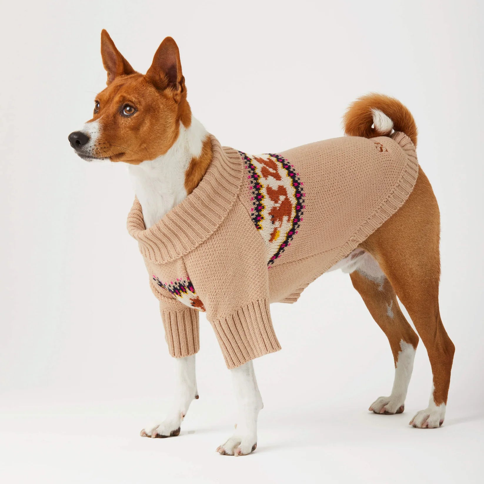 The Foggy Dog - Dog Sweater Squirrel Cable Knit