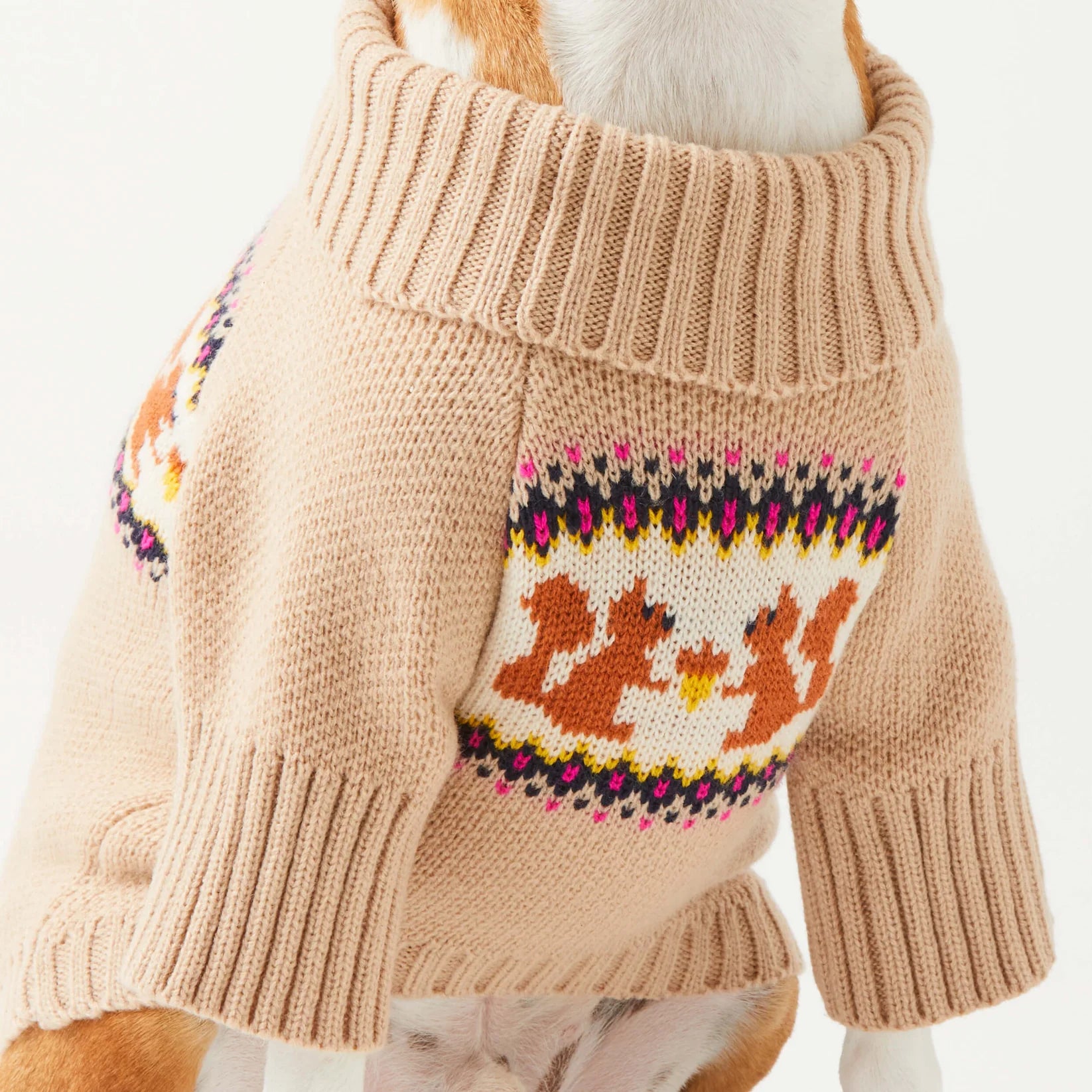 The Foggy Dog - Dog Sweater Squirrel Cable Knit
