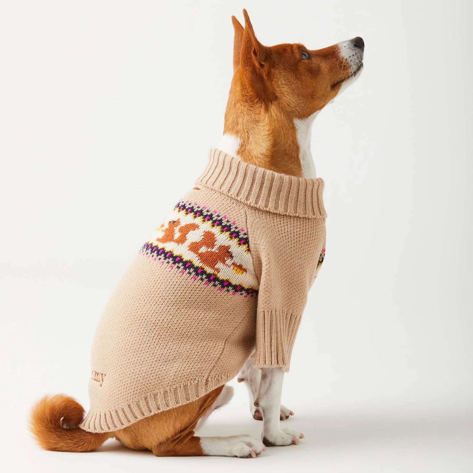 The Foggy Dog - Dog Sweater Squirrel Cable Knit