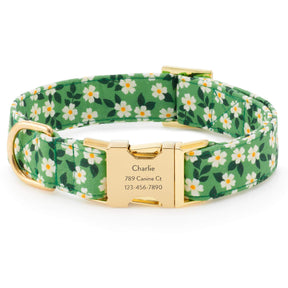Foggy Dog - Dog Collar Dainty Daisy