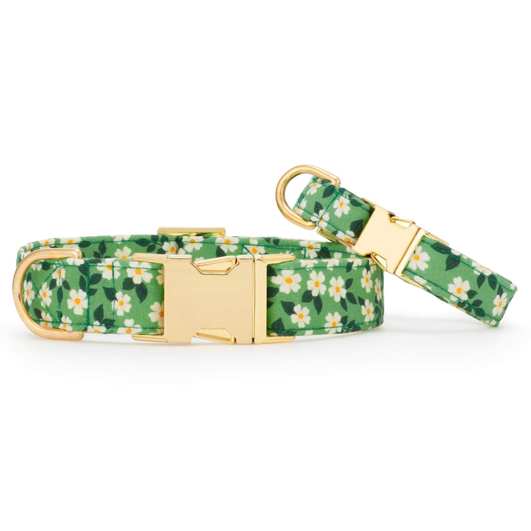 Foggy Dog - Dog Collar Dainty Daisy