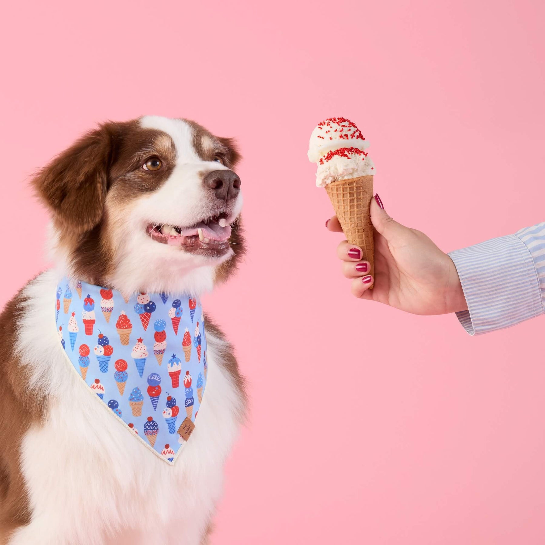 The Foggy Dog - Bandana Dog Star-Spangled Scoops