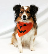 FunDog Bandanas - Dog Bandana Pumpkin Face