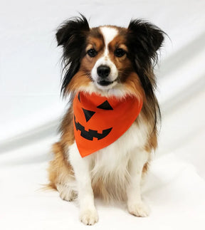 FunDog Bandanas - Dog Bandana Pumpkin Face