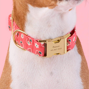The Foggy Dog - Dog Collar Olipop X TFD Strawberry Vanilla