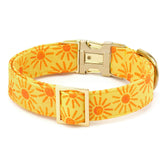 The Foggy Dog - Dog Collar Here Comes the Sun - Southern Agriculture 